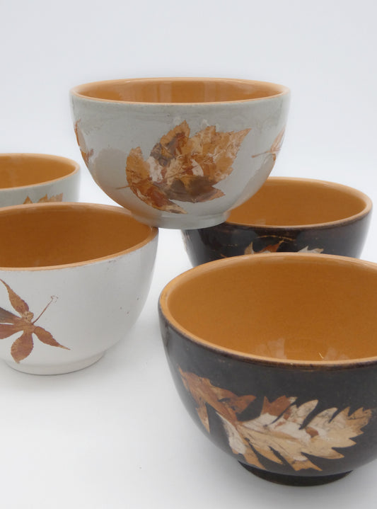 Ciotola Tazza Bolo Terracotta Invetriata Colori Naturali Terre e Foglie